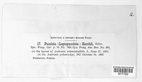 Image Associated With the Occurence
